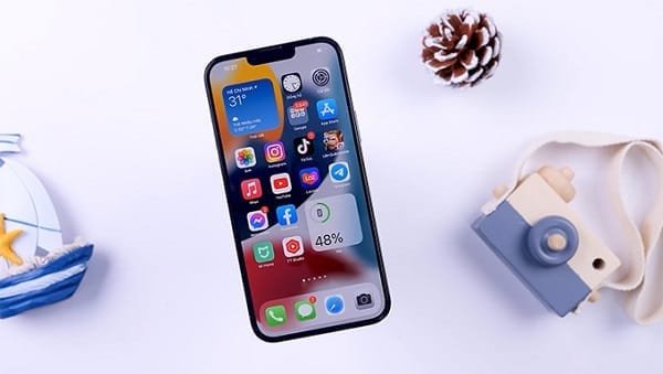 iPhone 13 Pro Max 256GB 99% 8 iphone 13 pro max 1