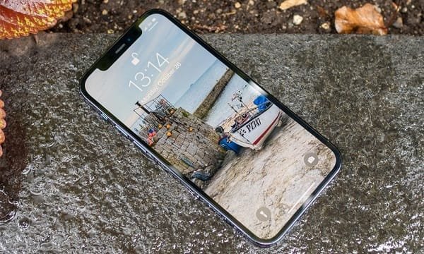 iPhone 12 Pro Max 256GB 99% 8 iphone12 pro max cu